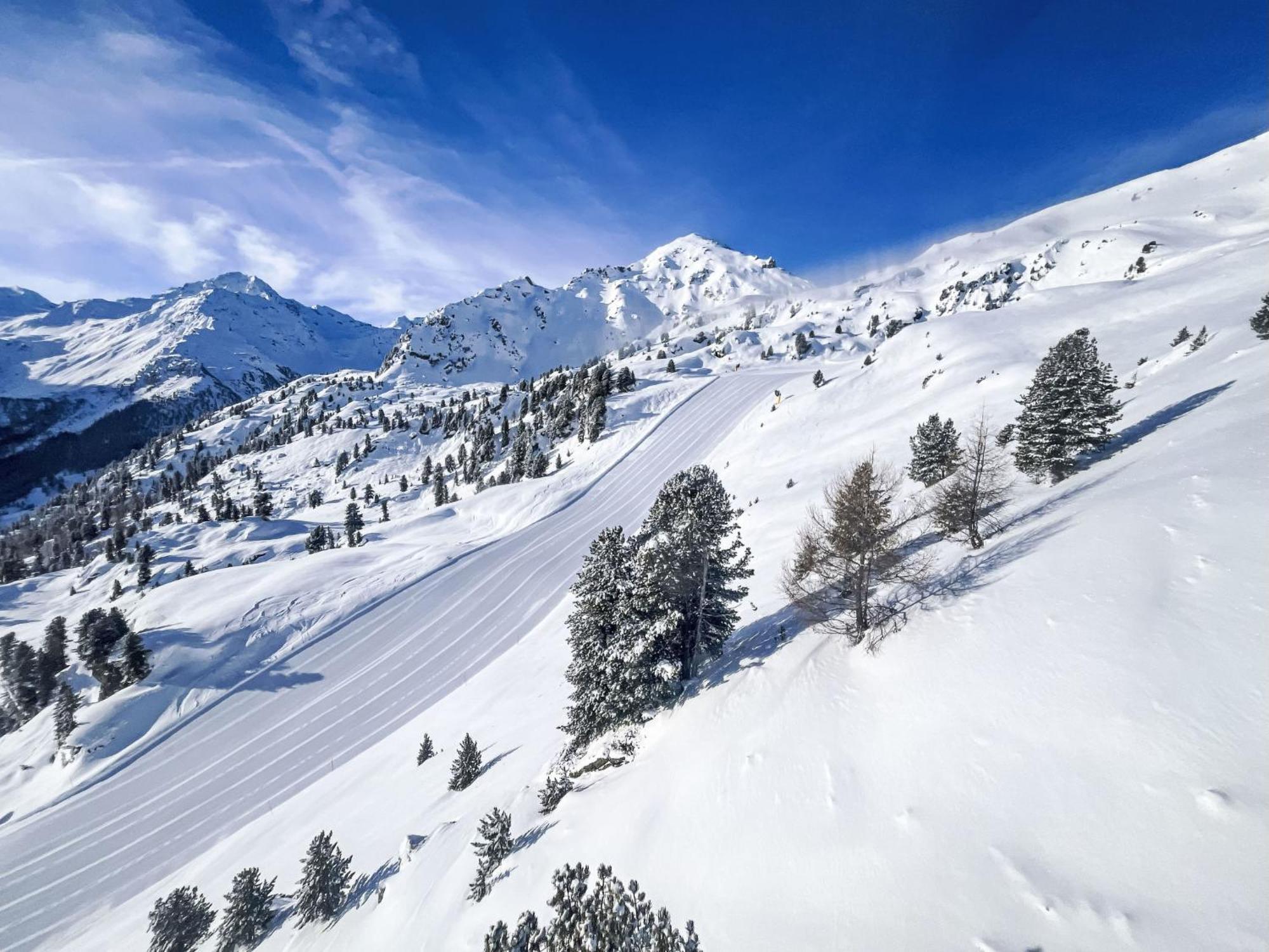 Apartment Les Platanes E3 By Interhome Nendaz Εξωτερικό φωτογραφία